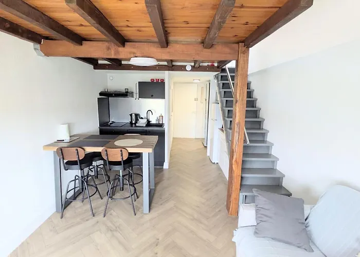 Naturiste Cap D'agde Port Soleil 146 Agde